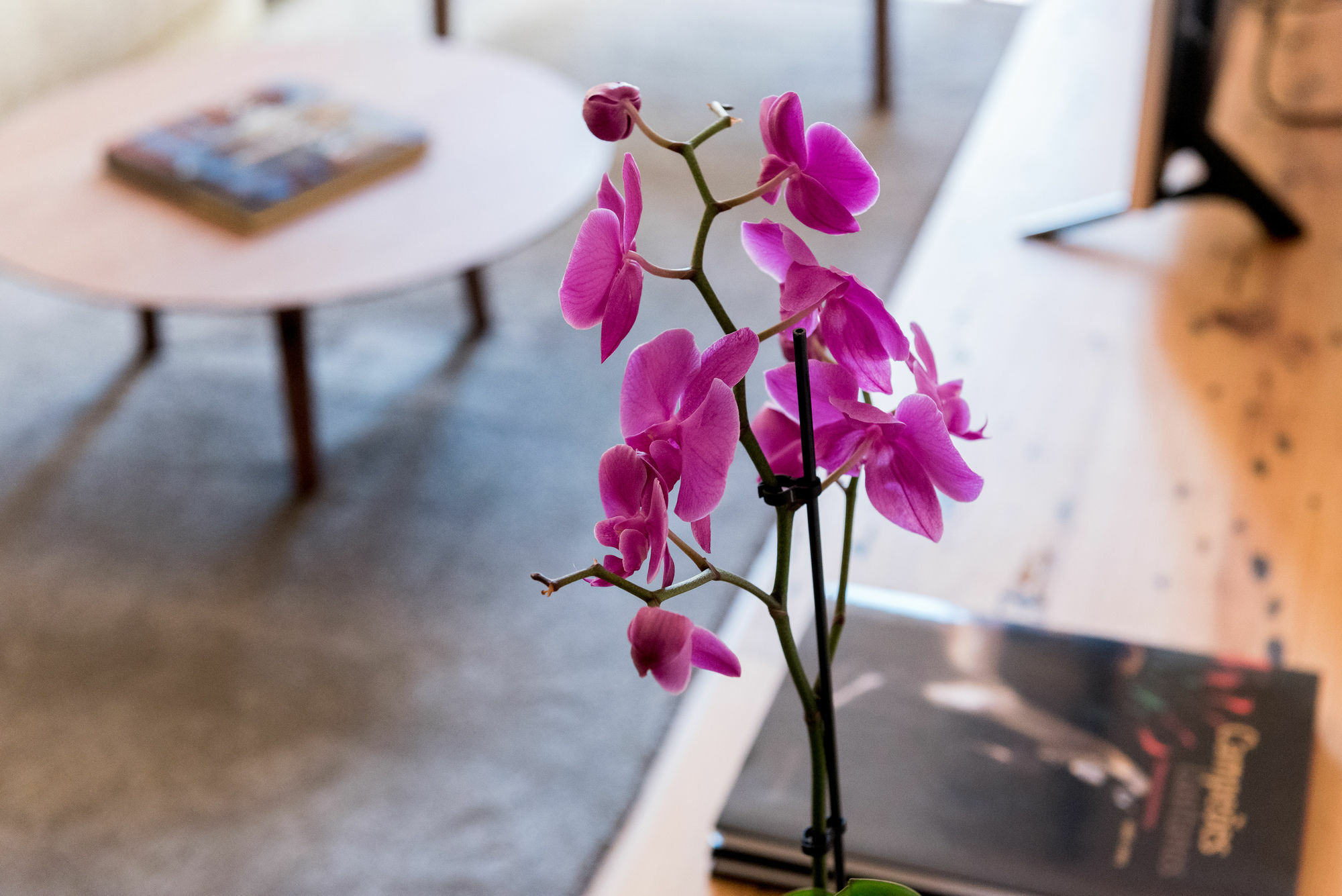 Appartement Flora Chiado Lisboa